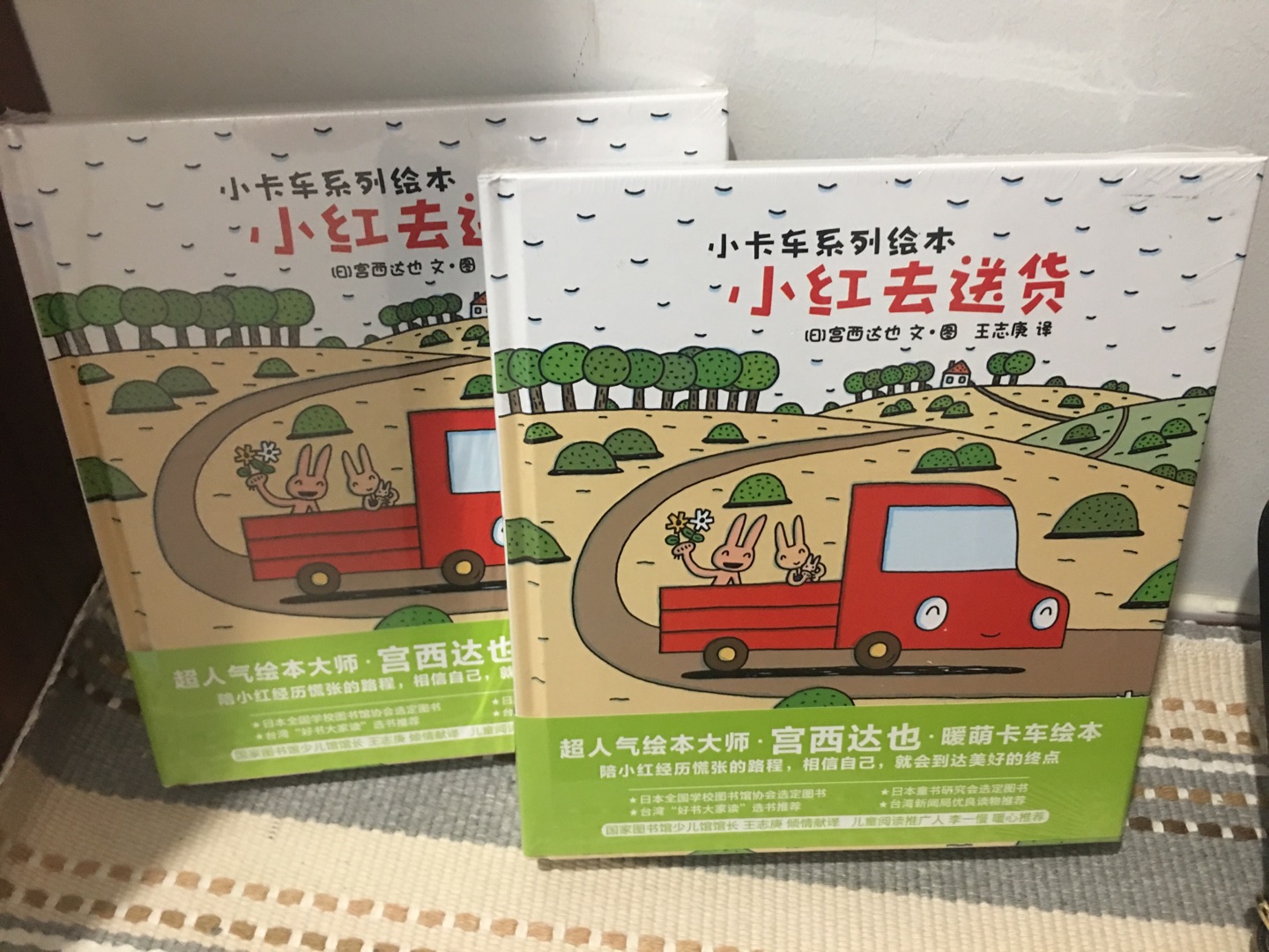 宫西达也的小卡车系列非常火,今天我们小区的宝妈团疯了。上午下单,下午就到货,然后都觉得质量非常好!