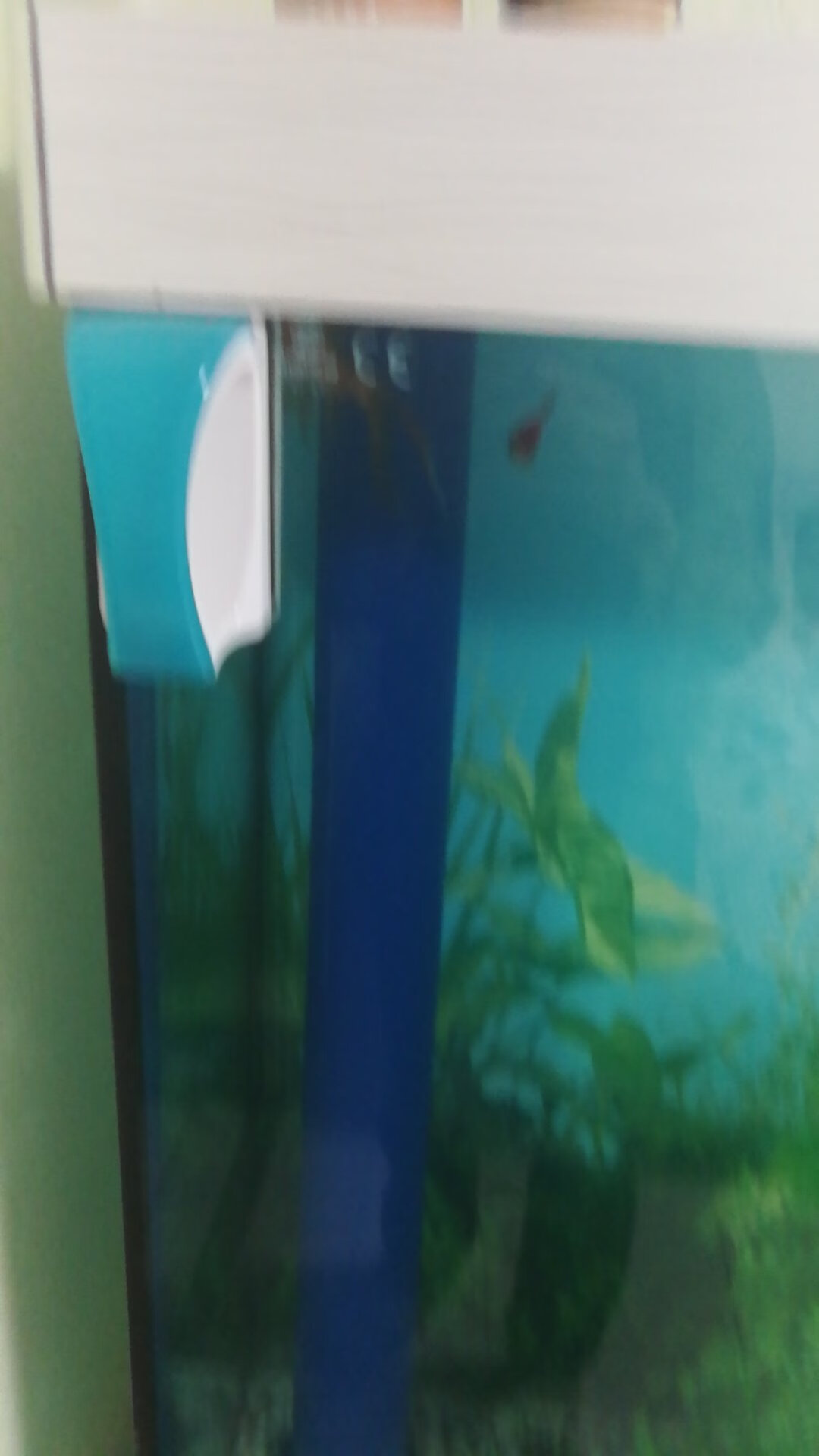 此用户未填写评价内容