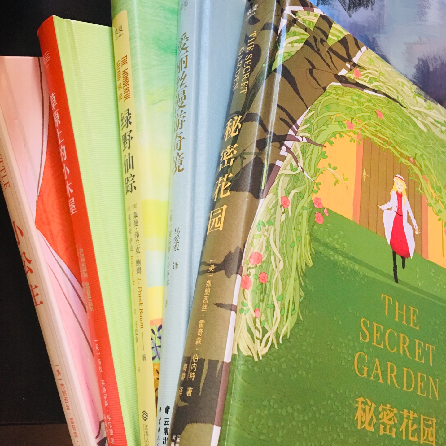 送妹妹家孩子的礼物,专门挑了适合小姑娘看的。这本插图精美,故事经典,希望孩子能喜欢。精装本比较贵,活动凑单后大概4.5折入手,比书店便宜