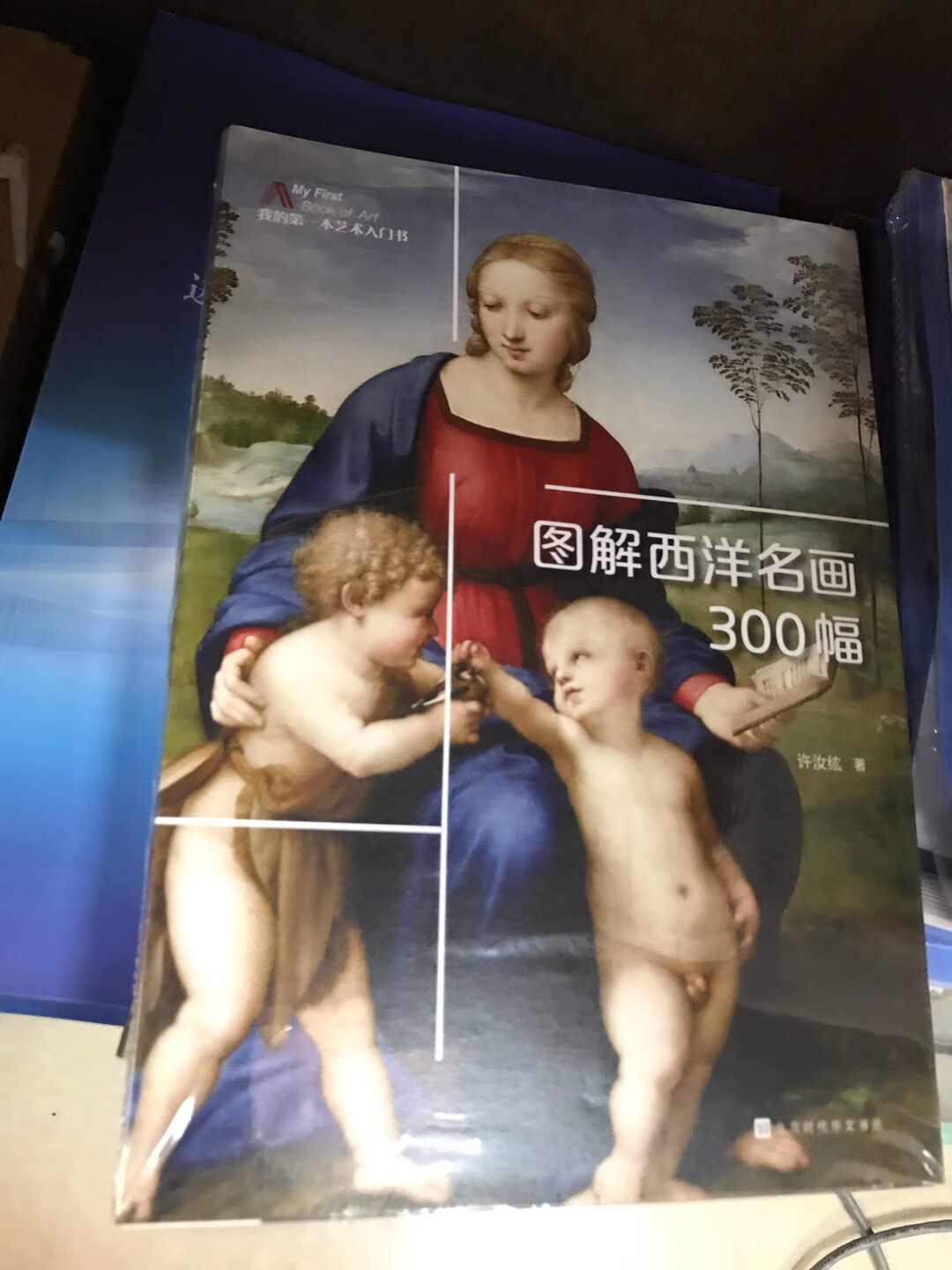 我的第一本艺术书吧,补补相关知识,没钱出国,就坐在家里欣赏欣赏吧。一如既往,只要是单本,一定是泡沫袋子送过来,还好是软皮本,没有磕坏。