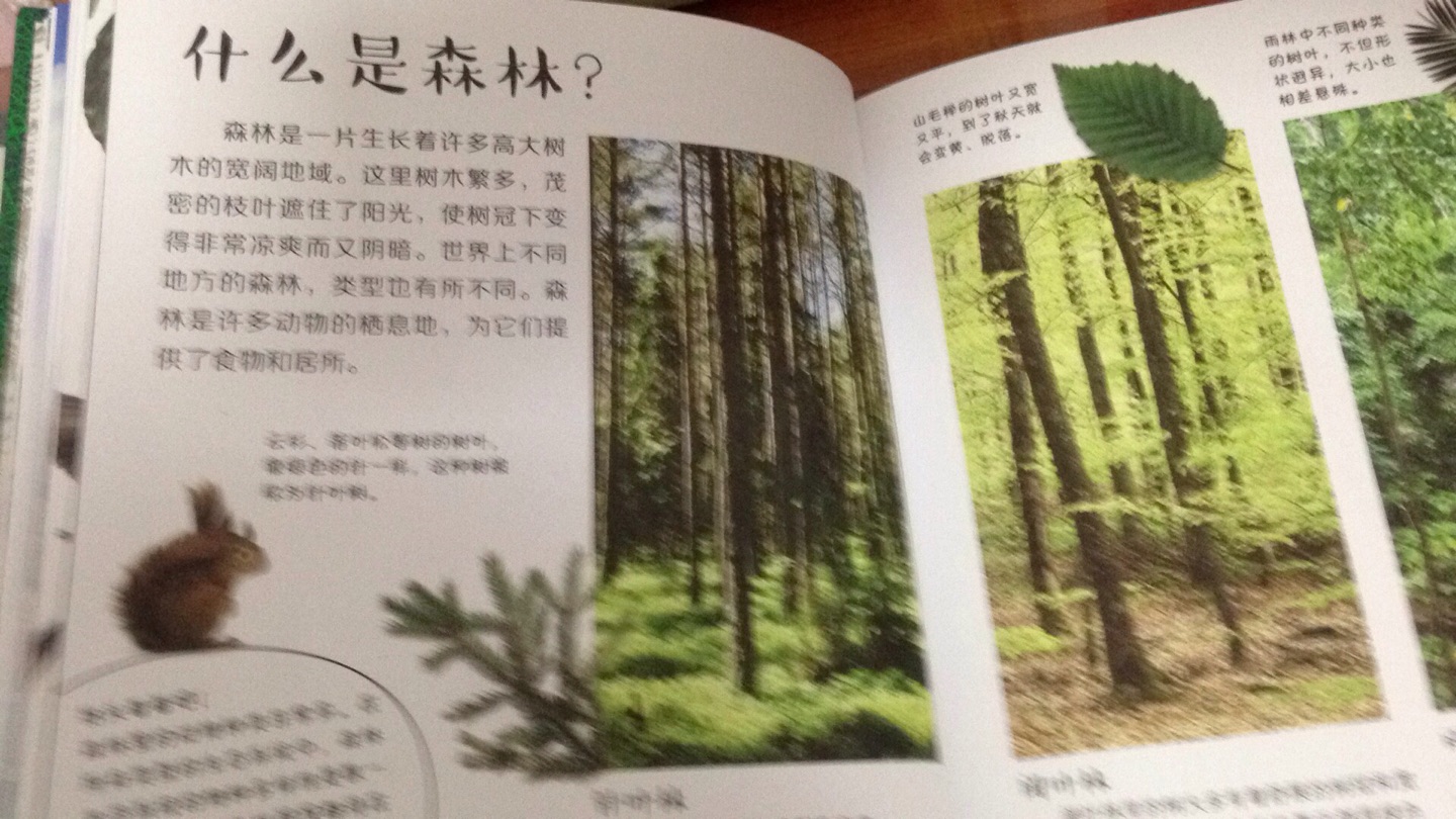 618活动买的,力度很大,非常合适。是很不错的书,知识全面,通俗易懂,很适合孩子看。印刷好,基本没什么味道。本书分为天气,森林,鸟类,海滨四个部分。