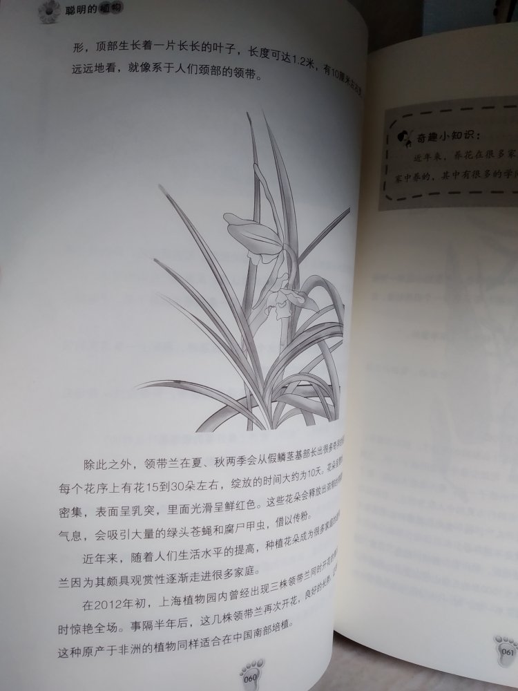 带塑封的书,一共买了三本回来。只开了一本看看,里面字是偏小,而且不带拼音的,图案是黑白的。低年级的小朋友表示不喜欢?。可能适合高年级的小学生吧。我自己读了一些,感觉一般般吧。