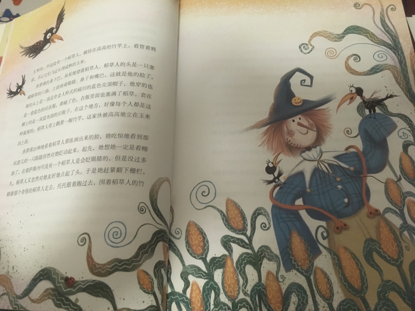 每次活动都会买很多书,儿子却没怎么看,都是自己看了。这一系列的书都很精美,不管是纸张还是印刷,可爱的插画更是满足了自己的少女心(捂脸(/∇\*))