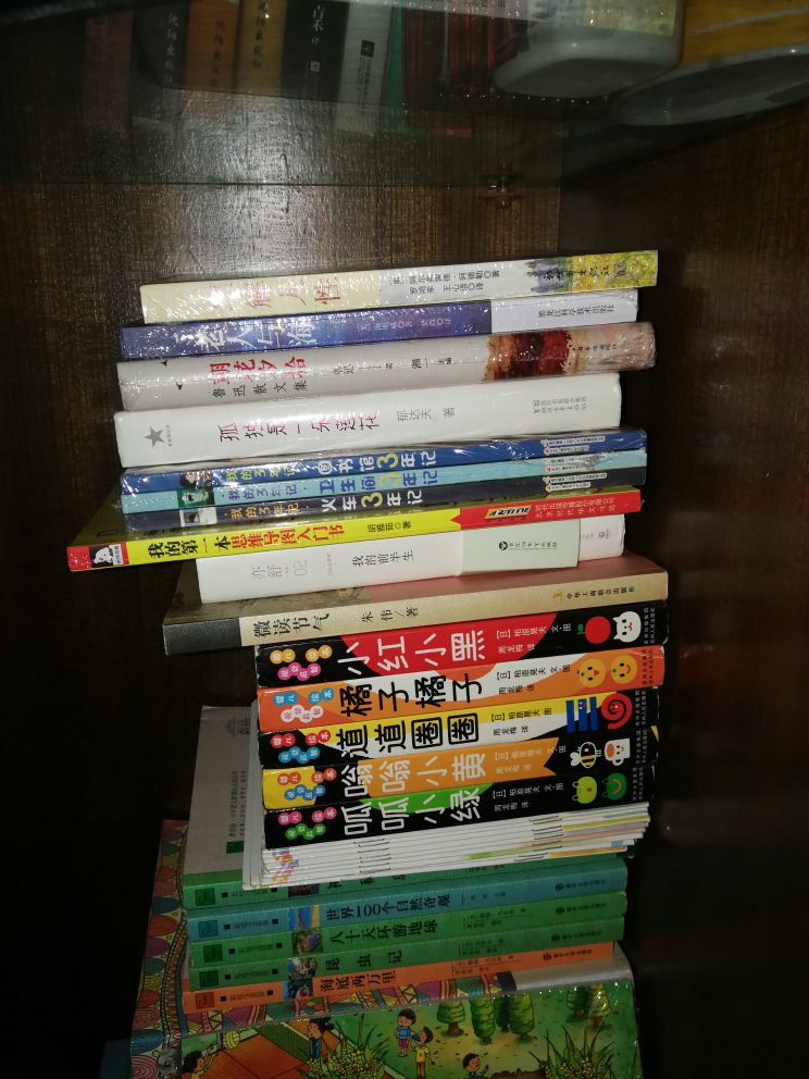 趁着活动,买了一大堆书,能看好久了,大致的翻了一下,感觉纸张质量都很不错,暂时没有遇到其他买家说的破损页之类的,比看电子书好多了,眼睛不疼了,还有一些书放在公司了,就不一一拍照了。