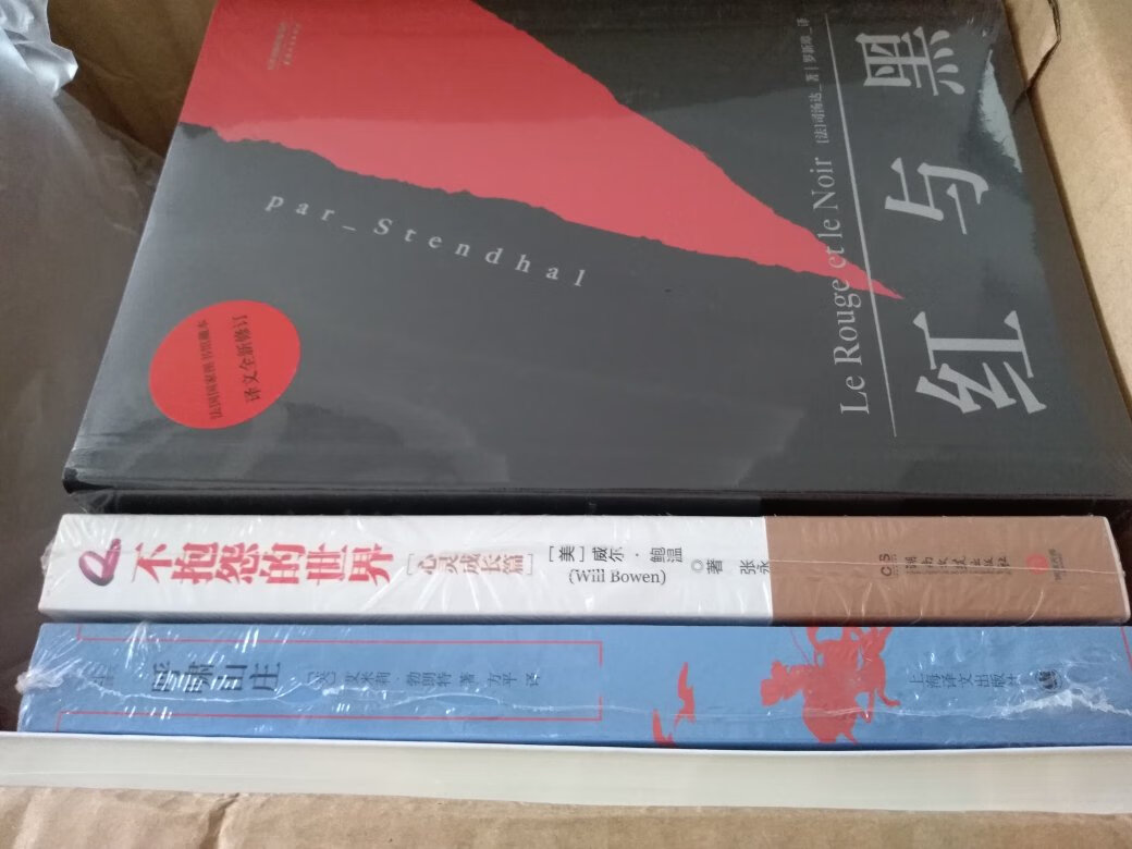 物流很快。人生中遇到了迷惘的事,不敢直面也不知怎么解决,这不仅是阅历见识不够,还有个人性格缺陷。特意买了些名著来看,希望有助于增长见识提升心境。当然,即使对此时的困境并无所助,看书本身也是一件很有意义的事。静心,好好看书(??ω??)??慢慢懂得慢慢遇见……