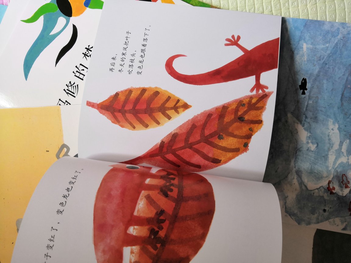在网上看的推荐的一本《亚历山大和发条老鼠》,买了一本精装的,看着不错,就买了一套简装的。精装就封面是硬纸板的,其他都差不多。