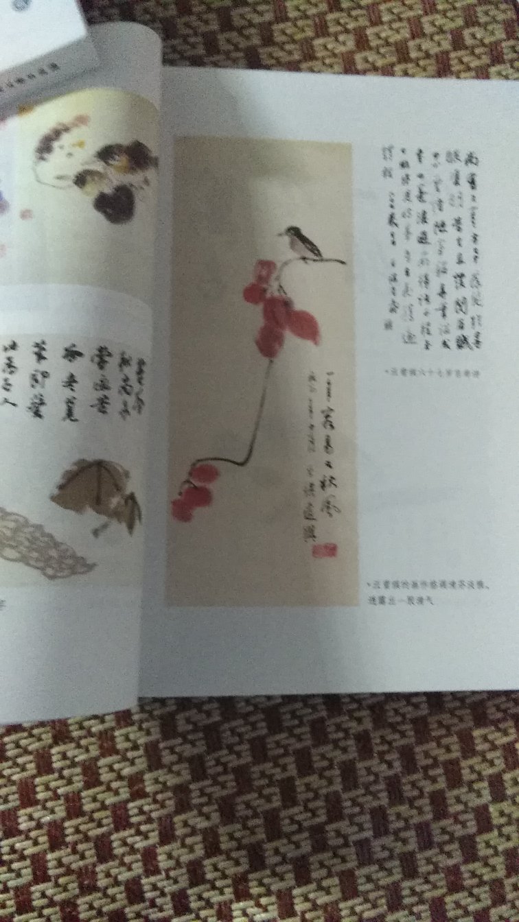 非常非常好的一本书,整本书,无论是封面、扉页,还是内里,都非常精美,纸质厚实,有彩页,印刷精良,文字优美,大师之作,值得收藏