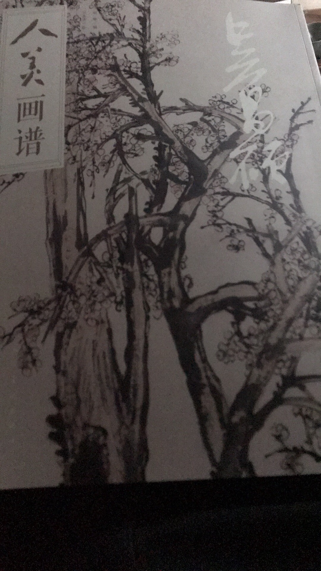 这套书用于观摩鉴赏还不错,人美的画册有一定水准。买了十几本。体验一下被古人玩得穿烂的水墨山水。现代人应该有现代人的玩法。当然应该是对古代各大家水平了然于胸的基础上。