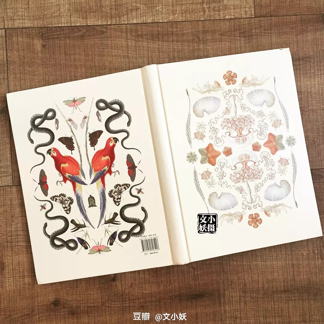 读罢该书,有种酣畅淋漓的感觉。自然界的生物数不胜数,我们不能皆走近观望,但是可以在《纸上动物园》一饱眼福,实属大幸。书中的生物活灵活现,呼之欲出,令孩子爱不释手。