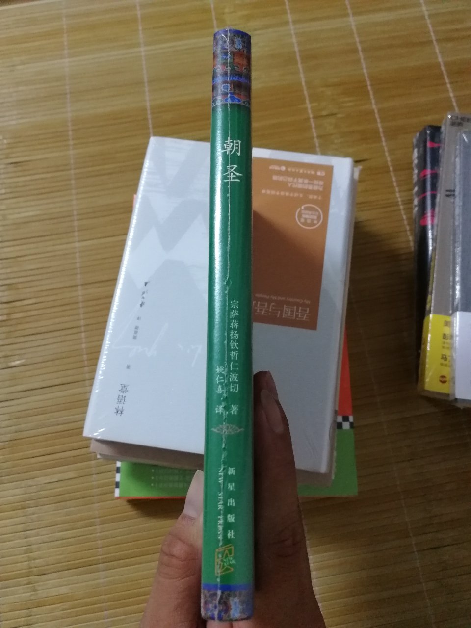 晋宋齐梁唐代间,高僧求法离长安。去人成百归无十,后者安知前者难?路遥碧天惟冷结,沙河遮日力疲殚。后贤如未谙斯旨,往往将经容易看。