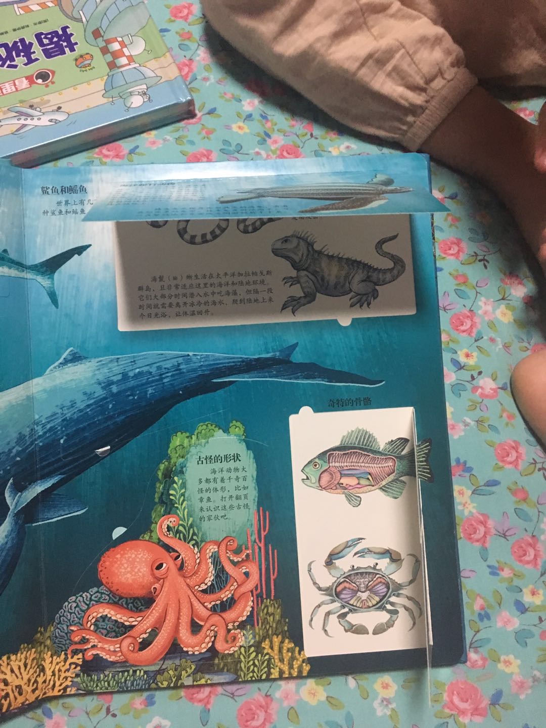 乐乐趣的揭秘系列,做得很好,内容丰富,画面精美,纸张质感超好,孩子爱不释手不,发货速度快,送货员服务到位,正版,可以放心购