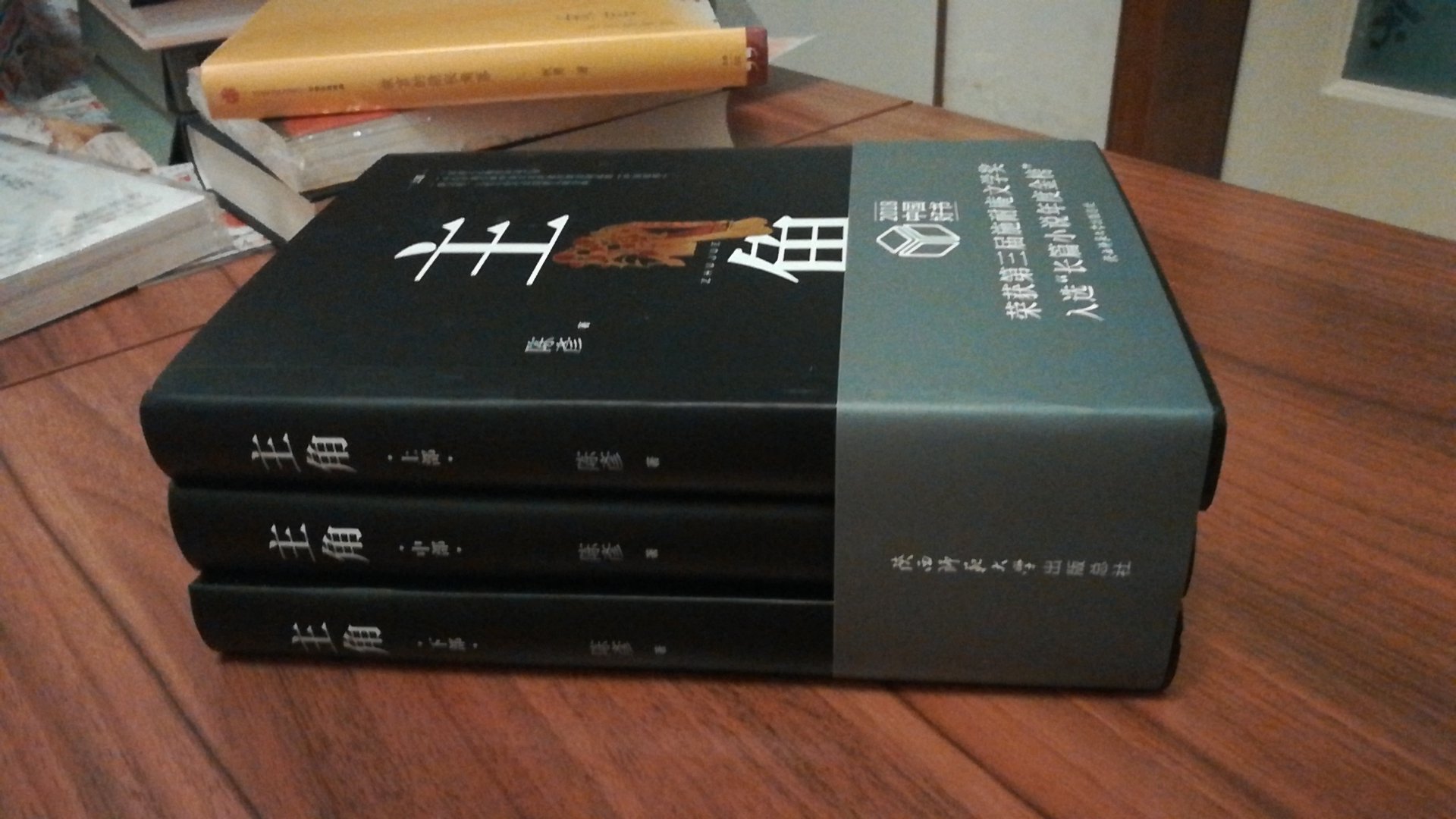 618活动买的,价格非常得优惠,书还没有看,陈彦小说文笔自然,故事引人入胜,非常值得一读!支持,感谢,每年618都囤积一堆书,今年总体发货包装很好,书籍基本上都是纸箱包装!