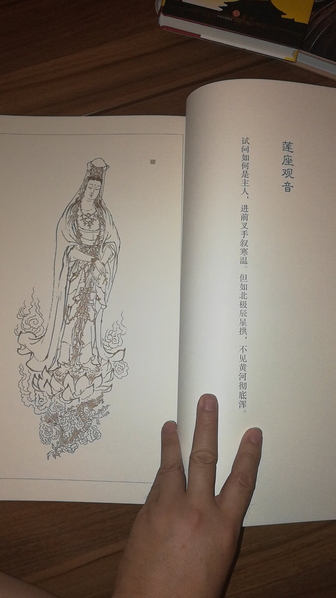 戴敦邦的画作非常精美,这本白描观音宝相给人安宁祥和!618活动优惠力度很大,服务配送都很好,基本上是纸箱包装!感谢,支持!