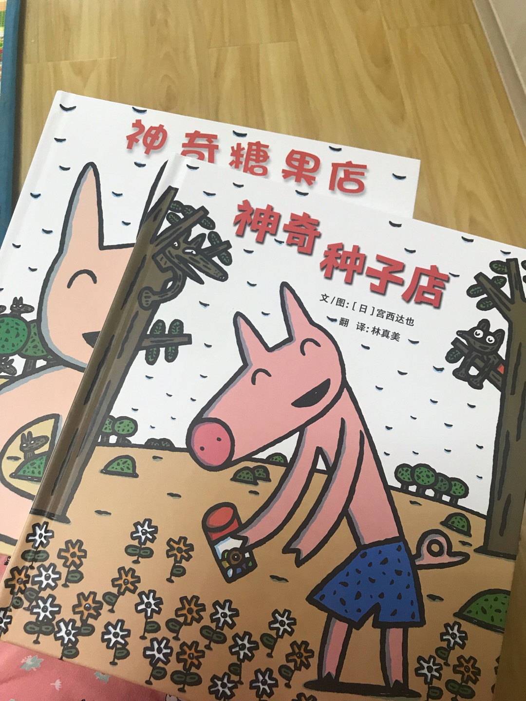 宝宝很喜欢宫西达也的书,家里一堆他的书!不过真心推荐!每一本都很有意义!三岁孩子着的可以入手!值得!