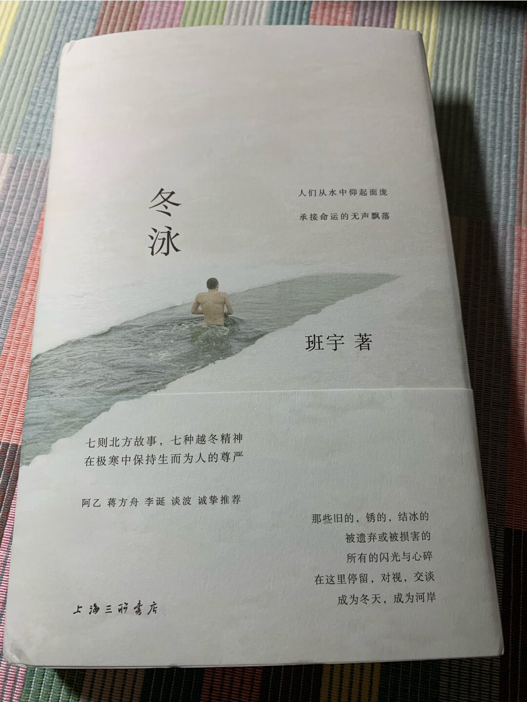 《冬泳》收录了班宇的七篇小说。在铁轨、工事与大雪的边缘,游走着一些昔日的身影:印厂工人、吊车司机、生疏的赌徒与失业者……他们生活被动,面临威胁、窘迫,惯于沉默,像一道峰或风,遥远而孤绝 地存在。
