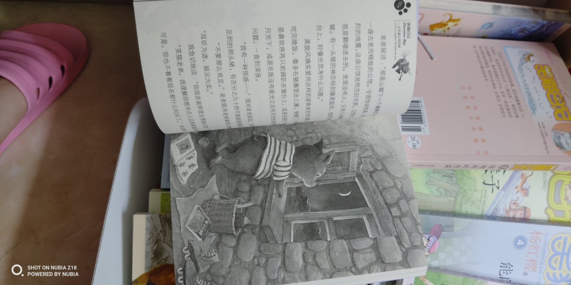 挺好的,都是些故事,还没有看,应该是和小学生有关的故事,希望孩子喜欢,一套24本,很是厚重,够孩子看一段时间了。书是精神食粮,孩子特别喜欢看书。