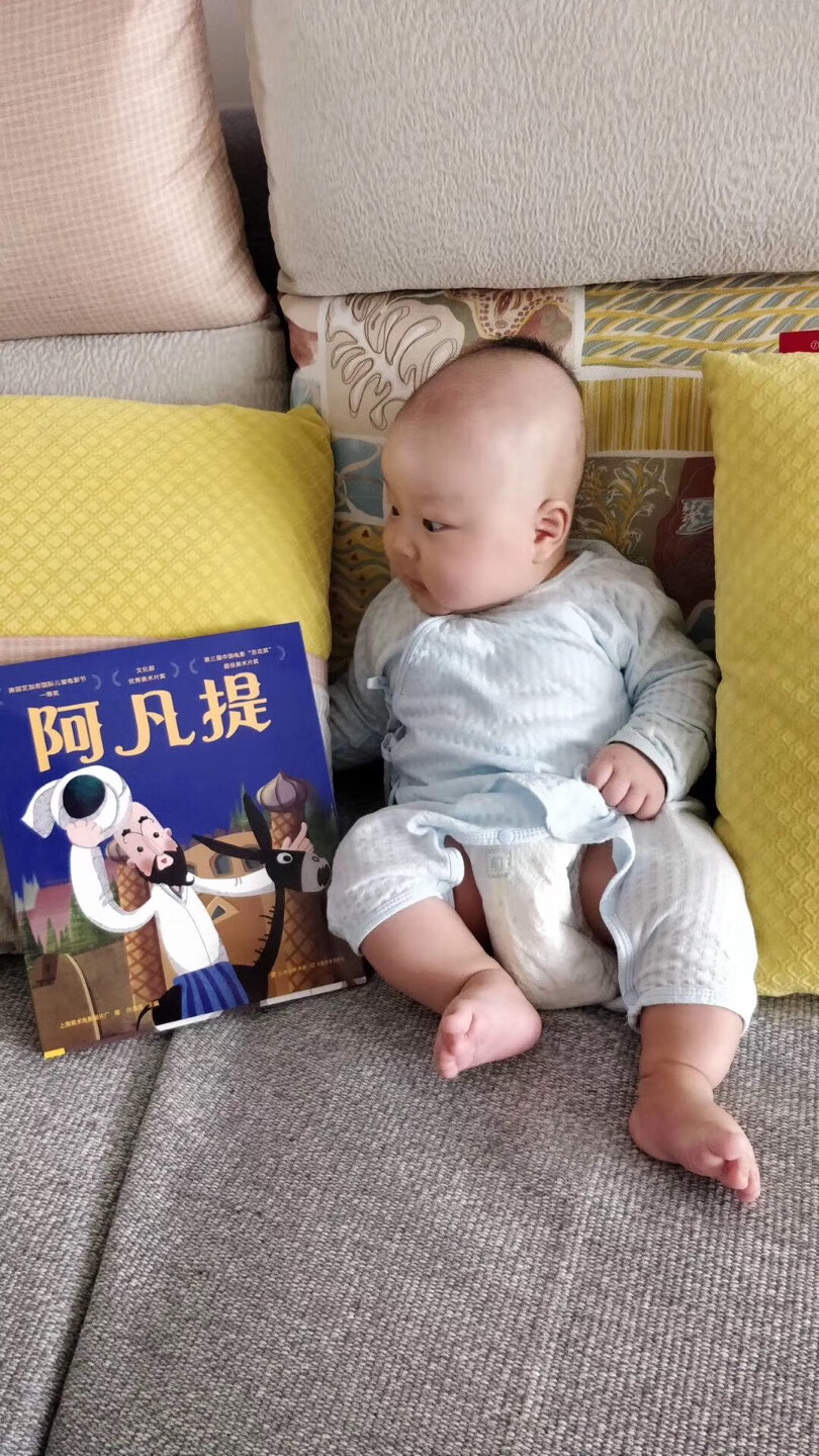 阿凡提还是很经典,这套的图很喜欢,画得很细。中国最早的定格动画,现在味道都做不出来了。都看老外在玩,挺遗憾的。上海美术电影制片厂这块老厂牌真是太可惜了。希望能有一套能真正展现动画黄金时代的绘本。这套就是收录的动画太少了,质量还是很不错的。希望能之后有新的。