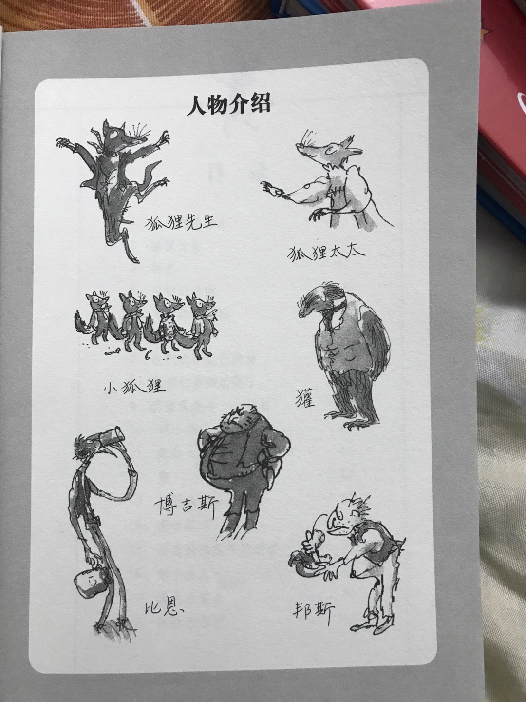 罗尔达的作品引入入胜,文笔利落,没有废话,却非常吸引人,立马能把孩子带入故事里。一步步,孩子不由自主想一次看完。非常好的故事书,孩子看得捧腹大笑。非常棒!