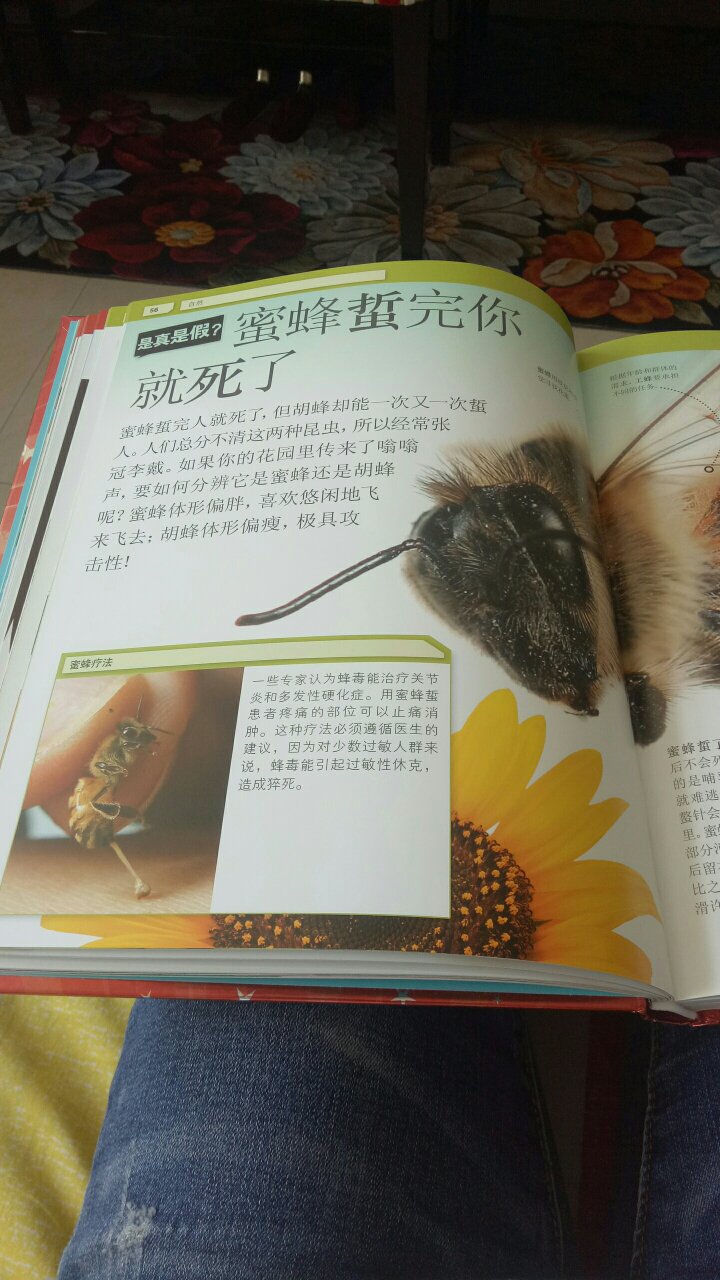 什么是真,什么是假?加入奇趣百科之旅,和我们一起寻找真相,分辨这些熟悉的说法是真是假。书很不错,里面的内容孩子很喜欢,也很吸引人,就是有些味道啊,其他都不错