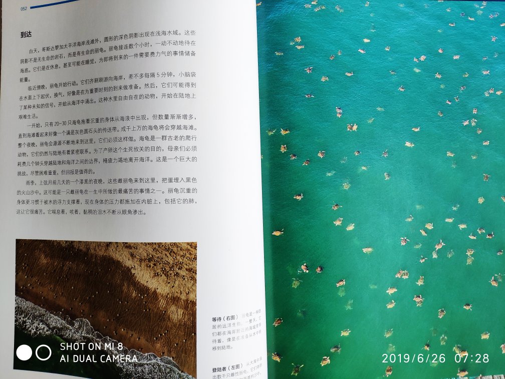 除了气球家的合集,又找到了一套超美的书!硬壳,16开本,彩页,超高清照片,最后一页还有视频二维码,303页!我都喜欢的不行了,孩子更喜欢。我又迷上了南极动植物那套,也好美,都收来都收!