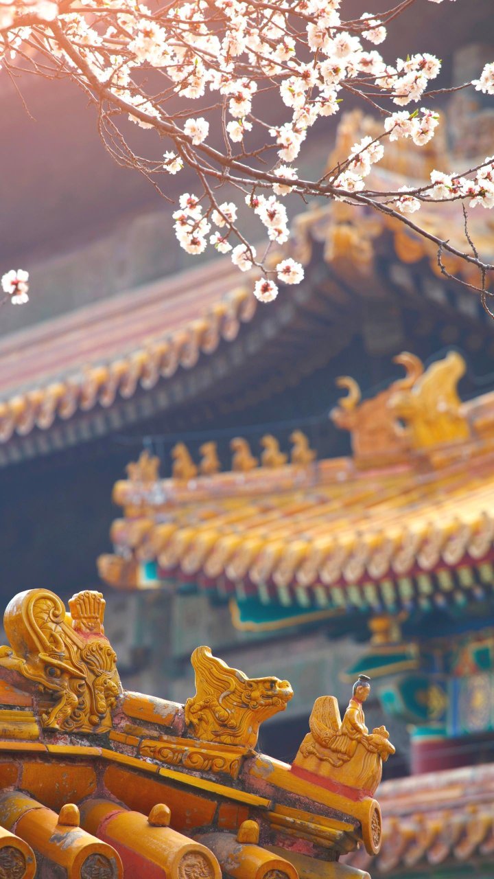 质量非常好,与卖家描述的完全一致,非常满意,真的很喜欢,完全超出期望值,发货速度非常快,包装非常仔细、严实,物流公司服务态度很好,运送速度很快,很满意的一次购物,现在不着急的东西都在网上购买