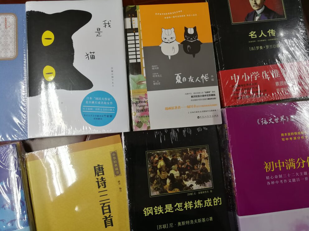 购书就来,一是正版无误,二是质量有保证,书包装验证,全部是塑料薄膜包裹,内页印刷精美 纸张厚实清晰,二是快递真的飞快,到货迅速,快递小哥服务态度一流,特别是618这种快递拥挤时段,依然很周到。好评!