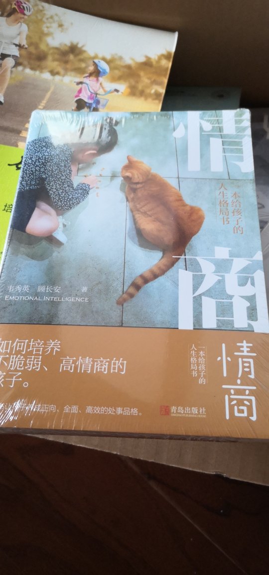 这个书还没看,就看了一点序言,正处在教育孩子迷茫期,突然看到了光亮。