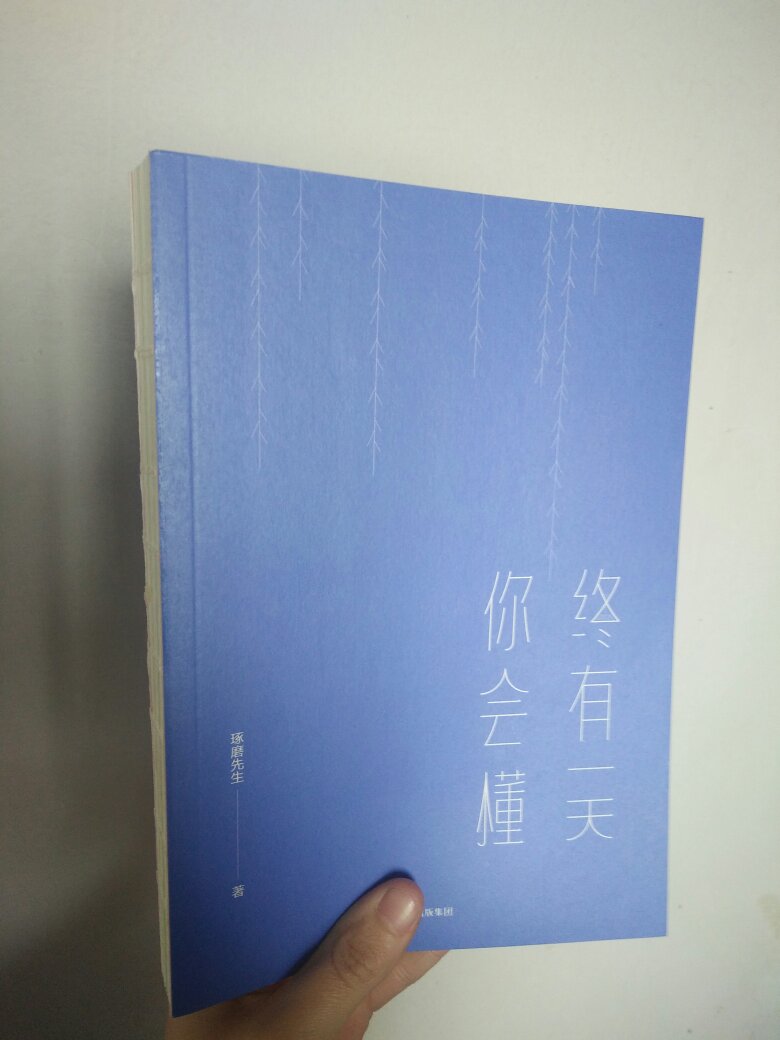 挺好的,外皮可以拆开,里面纸质都不错,看了一下内部侧面,一开始还怀疑会不会容易翻烂,但是拽了一下发现是我多虑了?有图有字有书签,在网上看了一部分之后才舍得买,好评