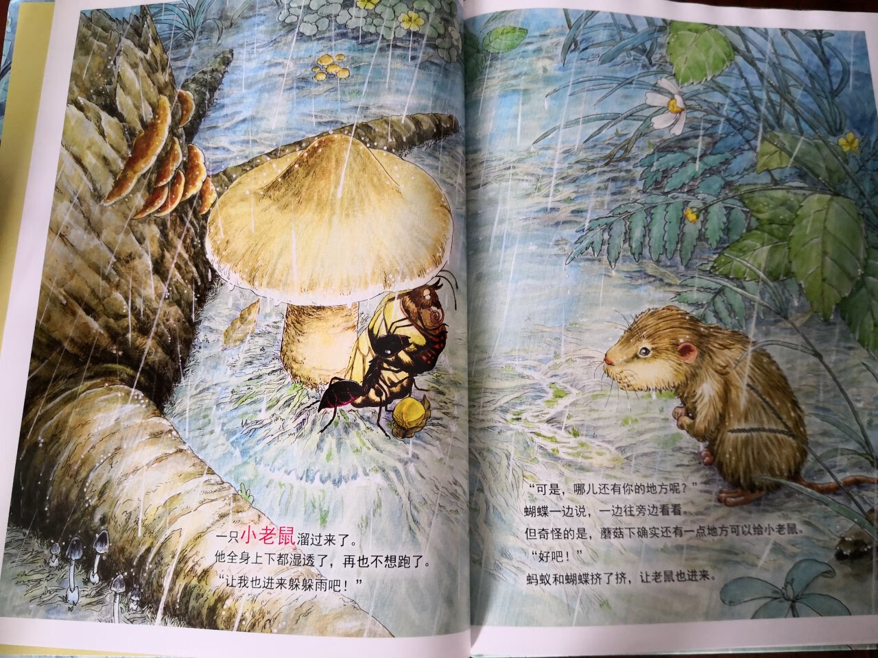 评论我是认真的!!!经常在上买东西,总有大量的包裹要收,感觉写评语花掉了我大量时间和精力,为了京豆!所以在一段时间里我只是随便写写或者不去评价。但是我觉得这样太对不起辛苦工作的快递小哥,仓管,客服,卖家。于是我写下了一小段话,以表示我对五星快递小哥,客服,卖家的感谢。首先宝贝性价比是很高的,我每次都会先试用再评价。的配送绝对是超一流的,每次小哥不管我买的是牛奶,啤酒,米面油还是书书书。不管大件小件送货速度快,服务态度好,全部送货上门,从不抱怨。希望再接再厉,做的更大更强,提供更好的商品和服务,再次感谢配送小哥。