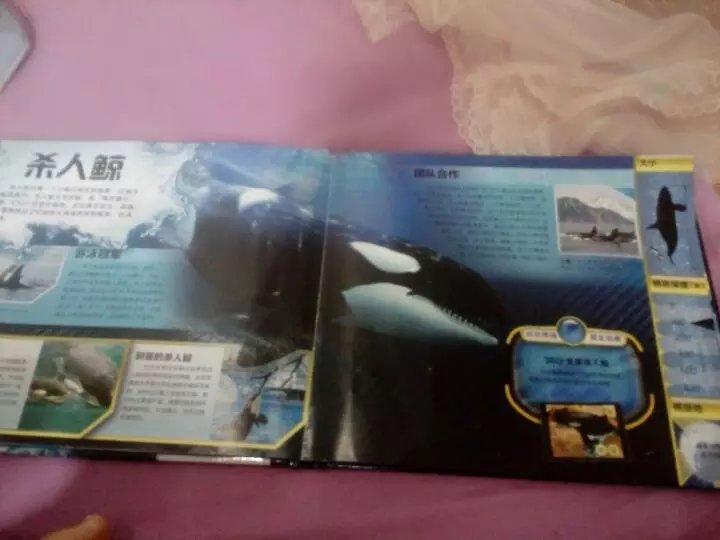 恐龙孩子喜欢。一本书一个APP,买了一套。所以每本都要下载APP软件。这点有些麻烦。互动性还可以。活动买的还是可以的。图书活动价还是比较经济实惠的。
