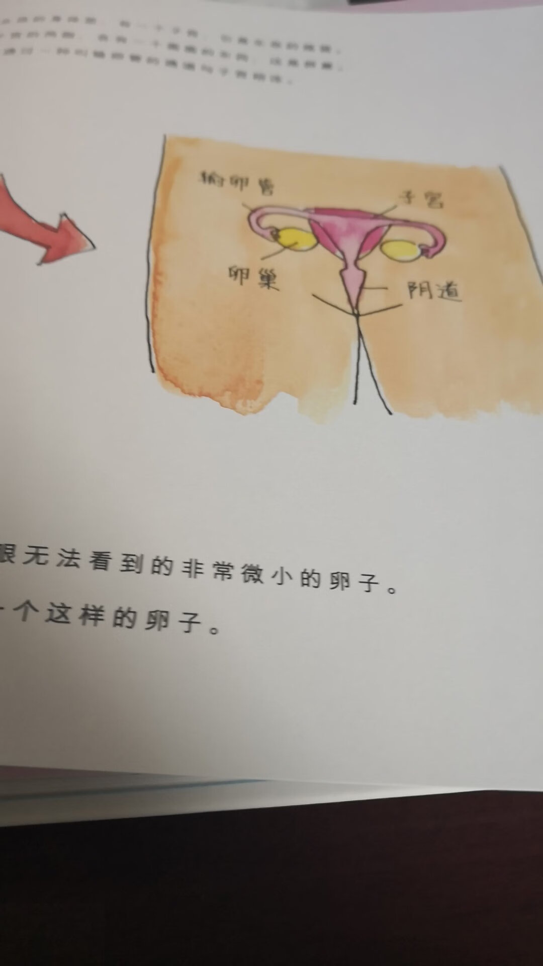 性教育真的很重要啊,家长们。一定要好好给孩子上这堂课。这本书真的很详细的介绍了性方面,孩子有疑问就要跟他说出来。可以根据书中的图片慢慢了解。这本书非常不错。推荐