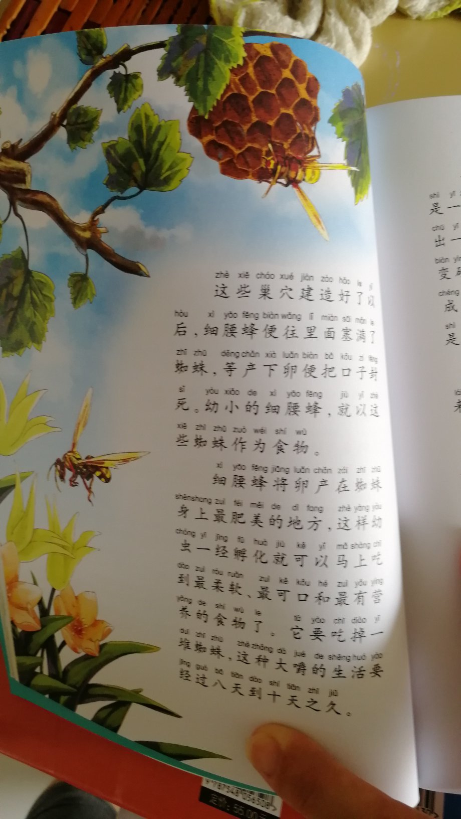 一次购物足以爱上,包装完好,字迹清晰颜色鲜明,绝对正版,高质量的一次购物。书中还真对植物和特殊名词做解释的部分,非常完美。小朋友读起来能增长很多知识。书大多是硬皮,不容易损坏,第一次在买书,完美爱上!