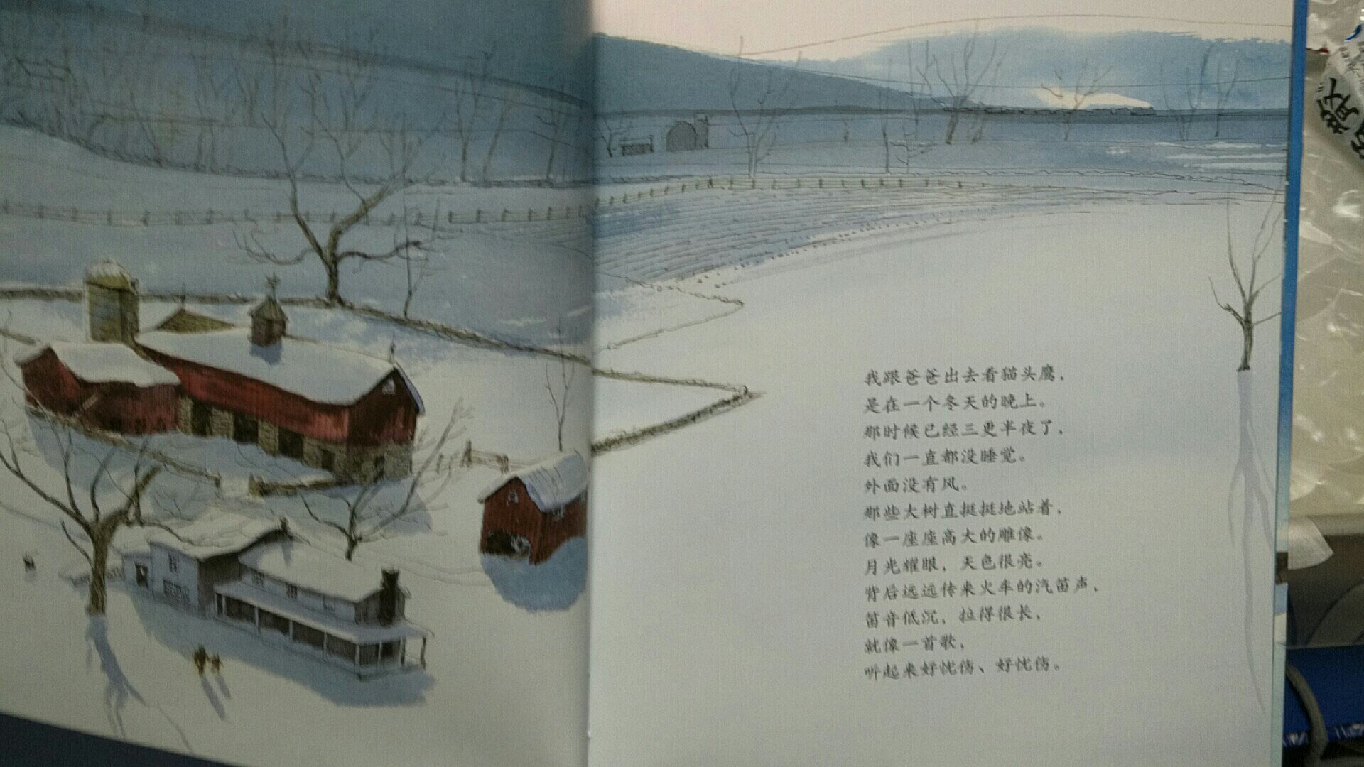 这是隆冬的一个白雪皑皑的深夜,没有风,小女孩跟着爸爸出门了。月光耀眼,小女孩拖着又短又圆的影子,跟在爸爸那道长长的影子后面跌跌撞撞,向着森林走去,去看***。黑森林中央的一片空地被月光照亮,月光下的雪看起来比瓷碗里的牛奶还要白。在爸爸的呼唤下,一个黑影子飞了出来。啊,小女孩和***你看我,我看你,看了一分钟,三分钟,或者足足看了一百分钟……