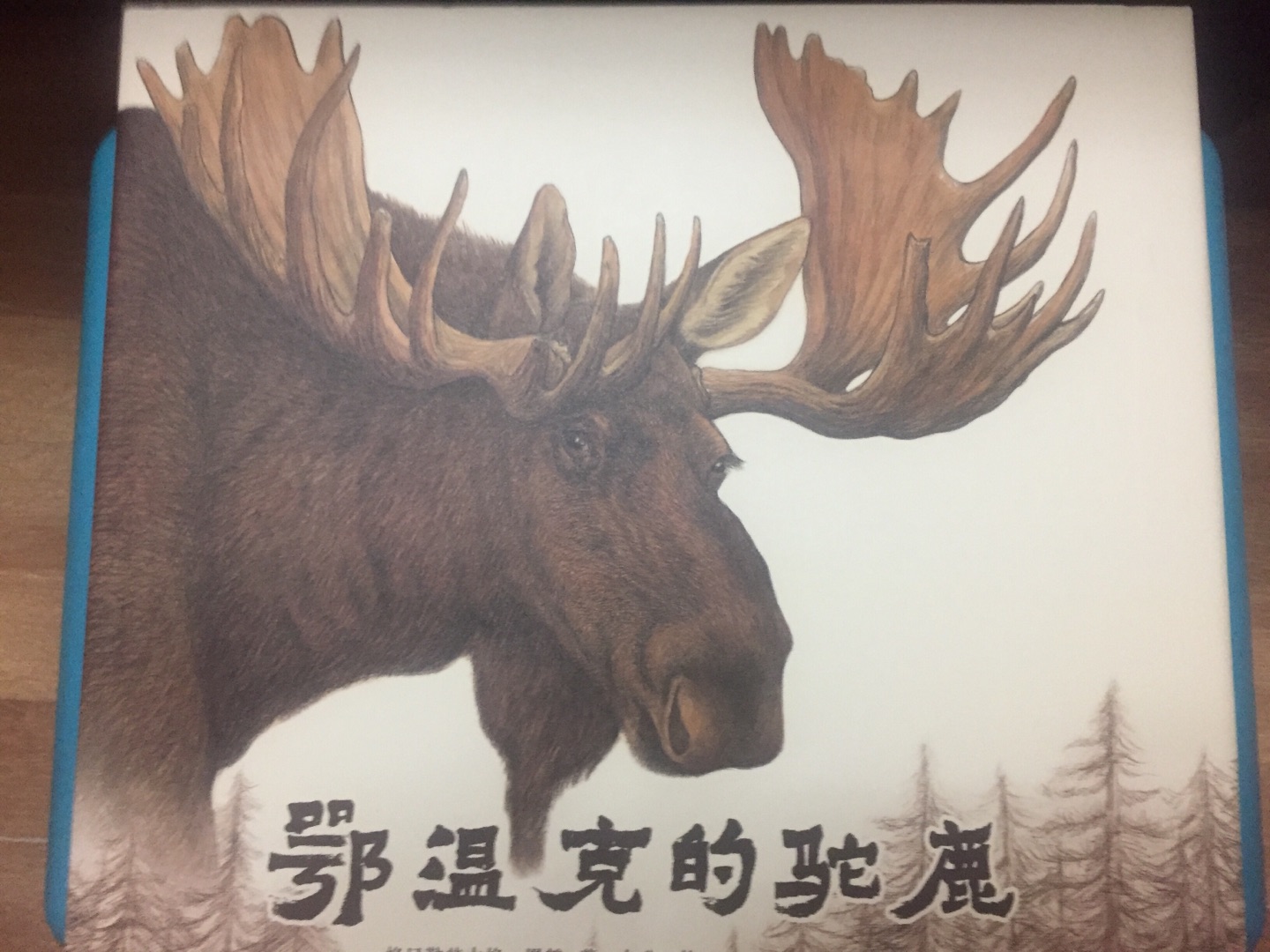 超大开本,画面特美,纸张特好,书特别厚。特别有收藏价值的一本书。推荐。