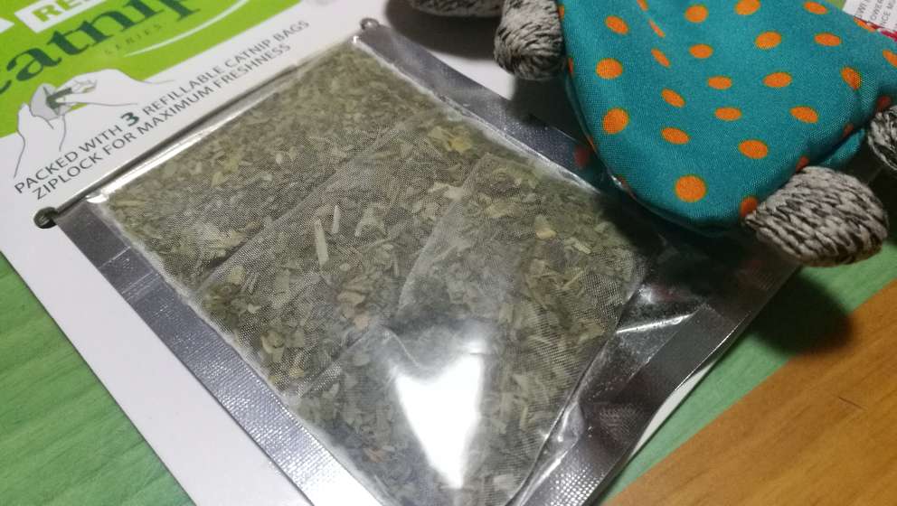 好可爱的猫草兔子,方便更换猫草的兜兜,做工精细很有质感,家里的猫猫很喜欢抱住就不撒爪了,特价超值抢购满111返99只有到才能享受的特价