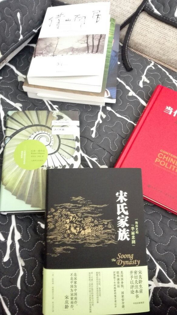 宋家 从来都是个大家族 故事情节经典 书的质量很好 封面和纸质都很高端大气 有贵族气质 值得细细品味 给你一个全新细致的中国现代历史。。。。
