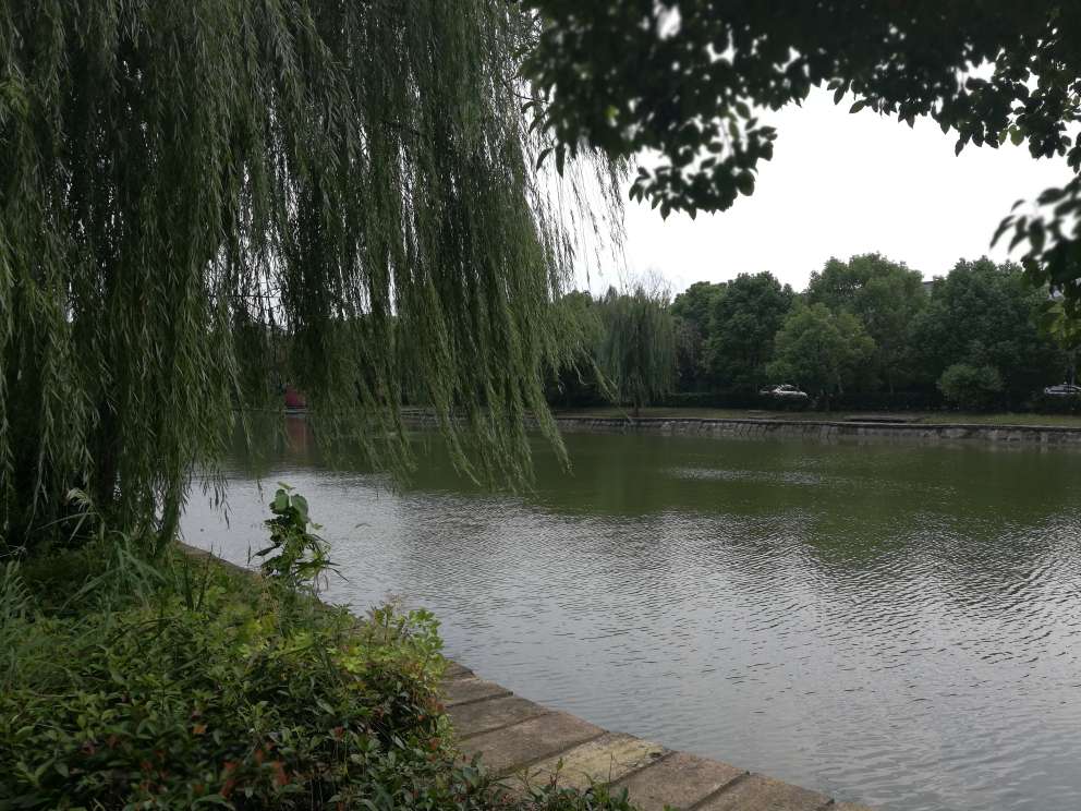 秋儿离开了,为了心中的爱。秋儿没有离开,因为她爱的人心中有了她。天涯海角,曾经的你,也离开了,现在彼此在天涯海角彼此一方。过去了多少年,心中还是会想起你。。。。。。。。祝福心爱过的你。。。。