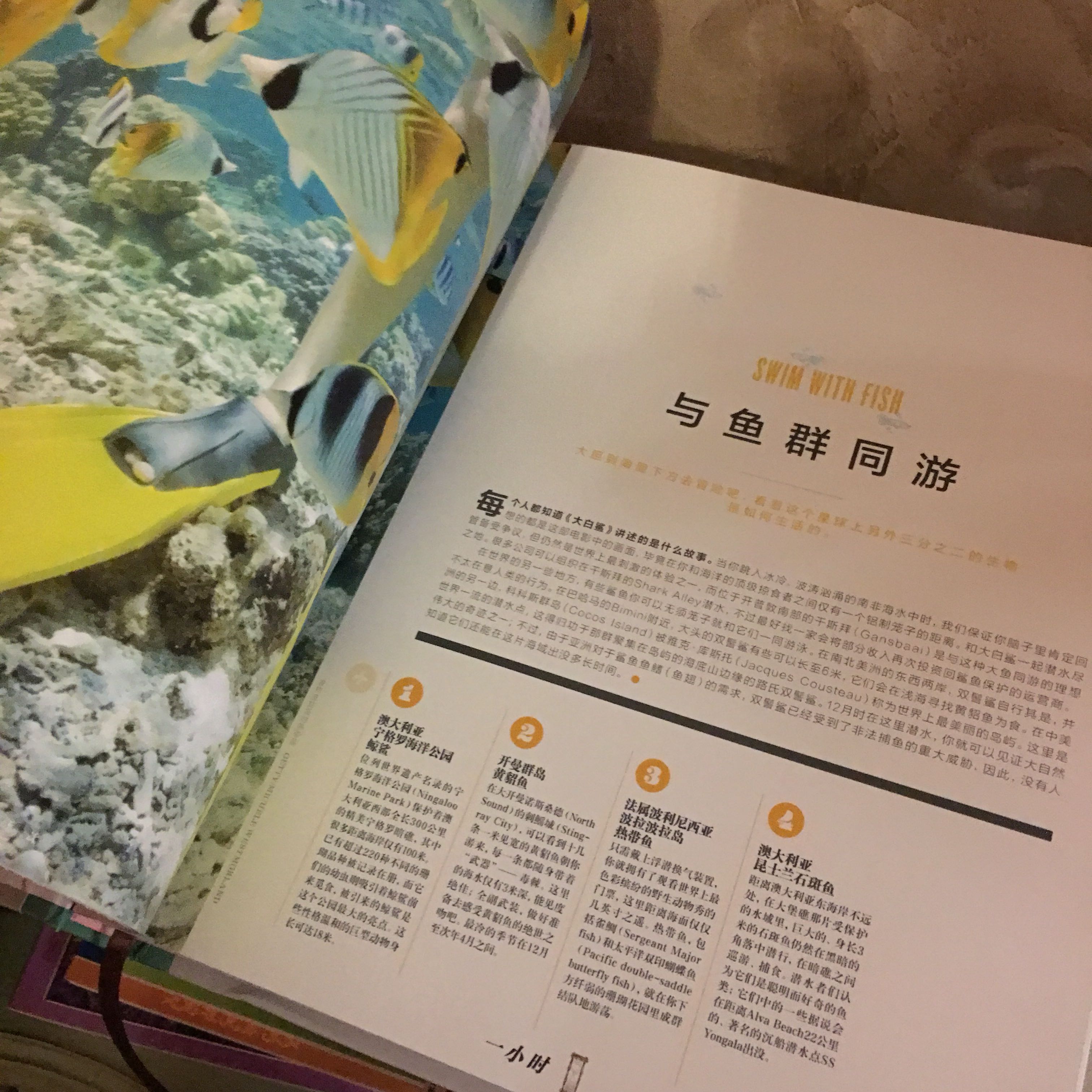 书的纸张、装订都没得说,差不多B5纸那么大,内容主要是大概介绍一些玩儿法及可以去世界哪个地方实现最好,内容较简单,对大多数人实用性不强吧,经常周游世界的人可以参考。