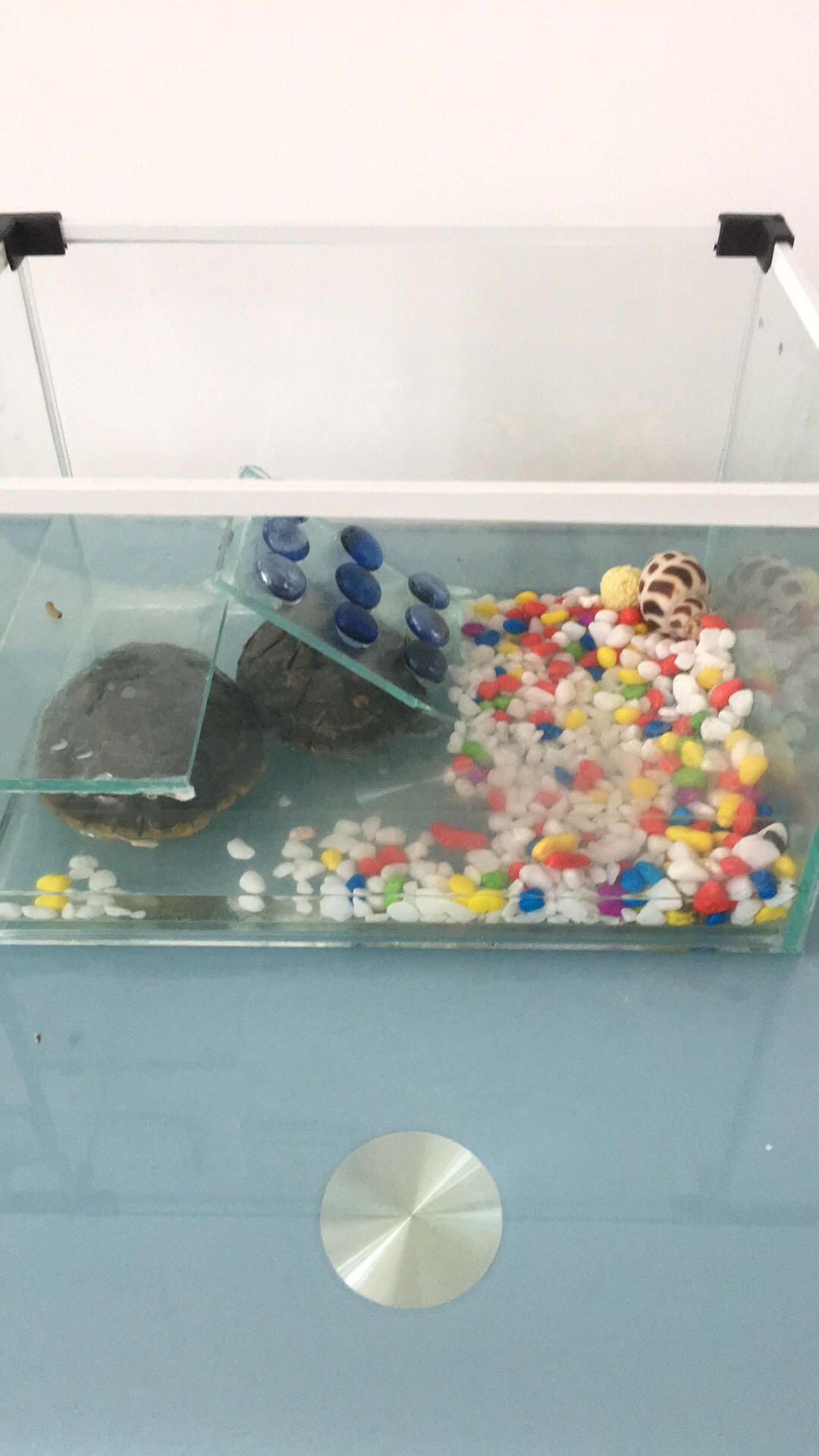 送货快,服务好,质量也过关,售后服务完善,解决问题快,现在吃穿用全在商城!