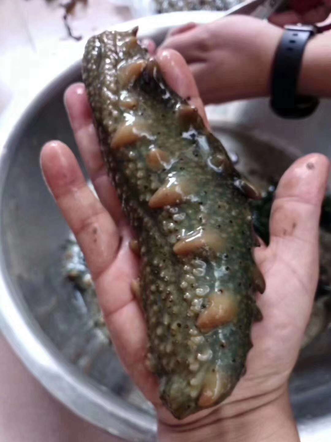 帮朋友买的,说是挺实用的,朋友买的,说是挺实用的。朋友买的朋友买的,说是挺实用的,朋友买的,说是挺实用的是挺实用的顺便说一声我是卖渤海野生海参滴,vx号:13697638033需要的联系哈