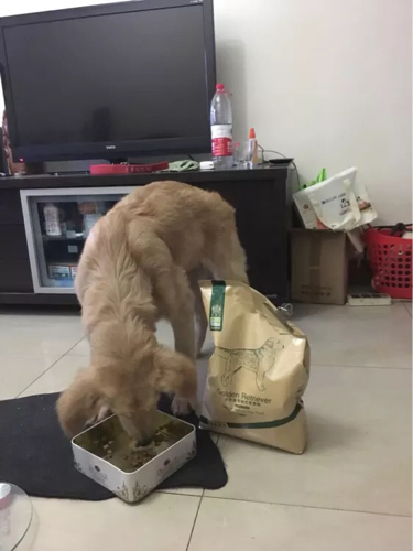 非常非常不错 棒棒哒