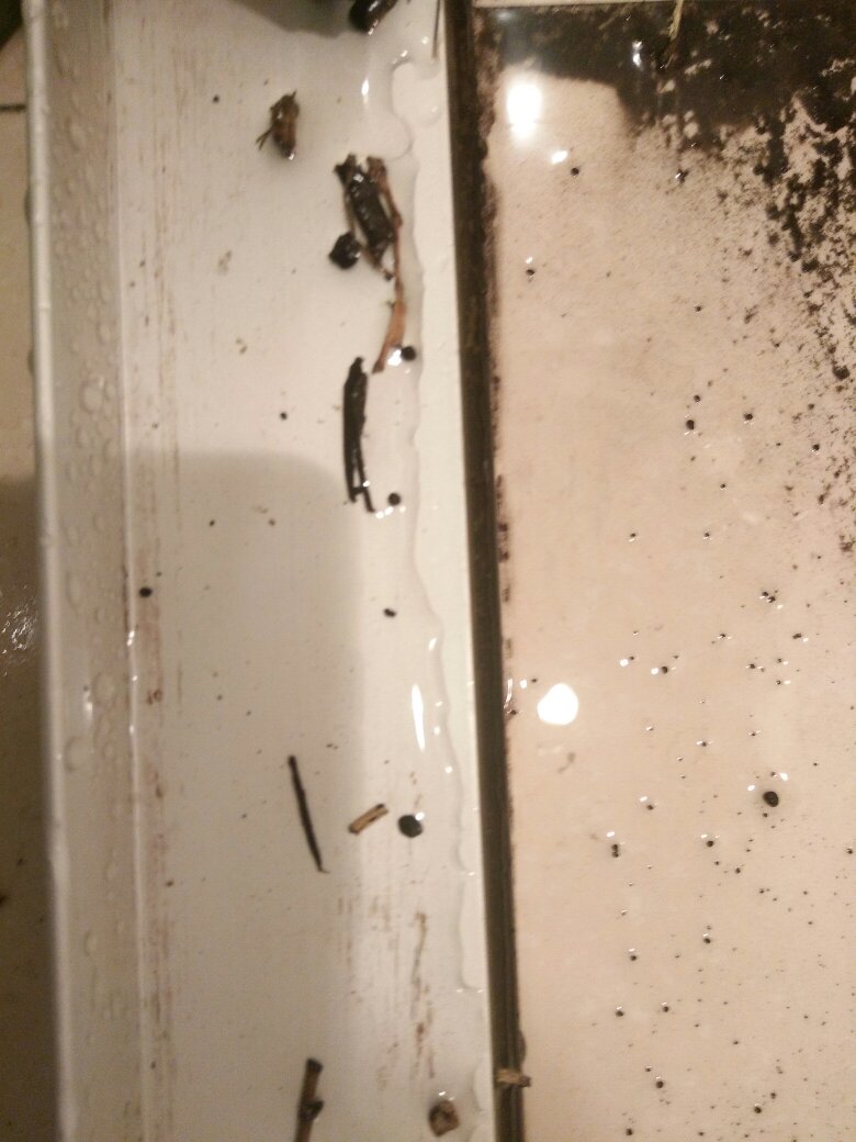 质量差要死,最差的一次购物水草泥一弄就碎,想水洗一洗全是黑水,里面还有木头石头木屑脏到不想说