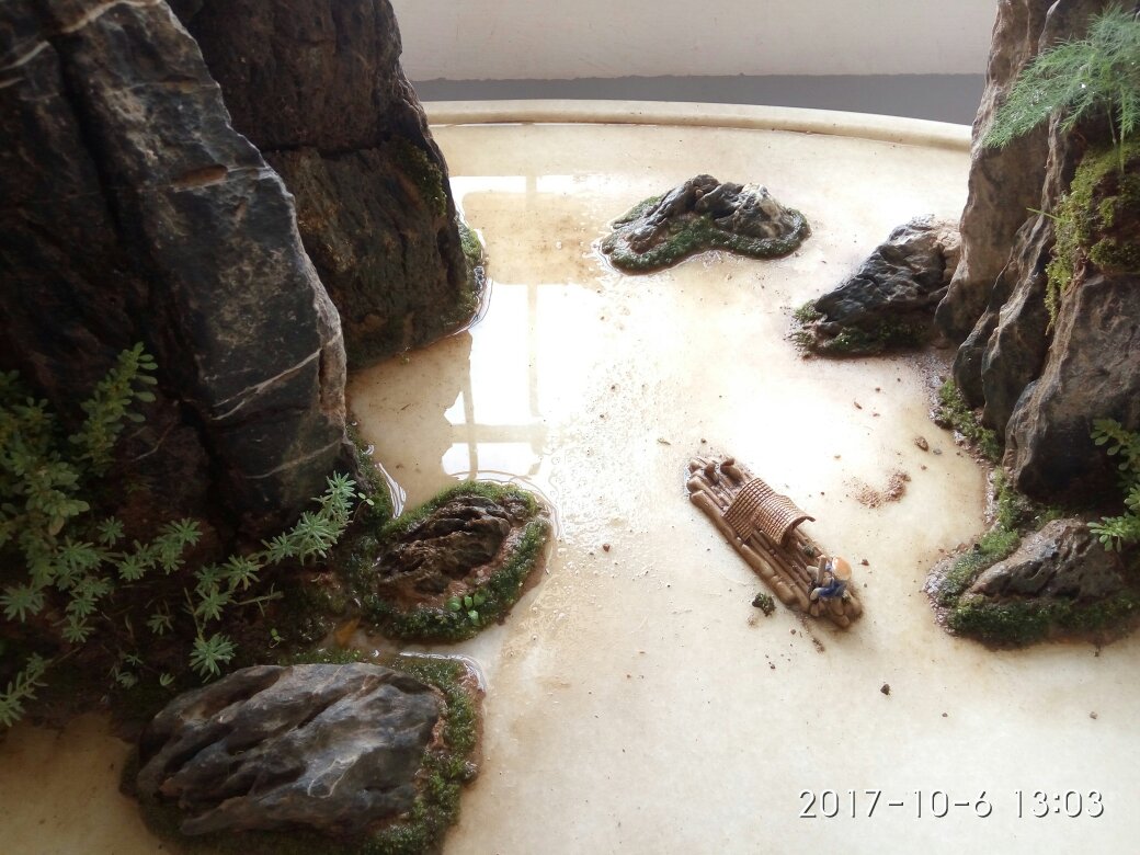 鞋子很漂亮,活动价格也很便宜。