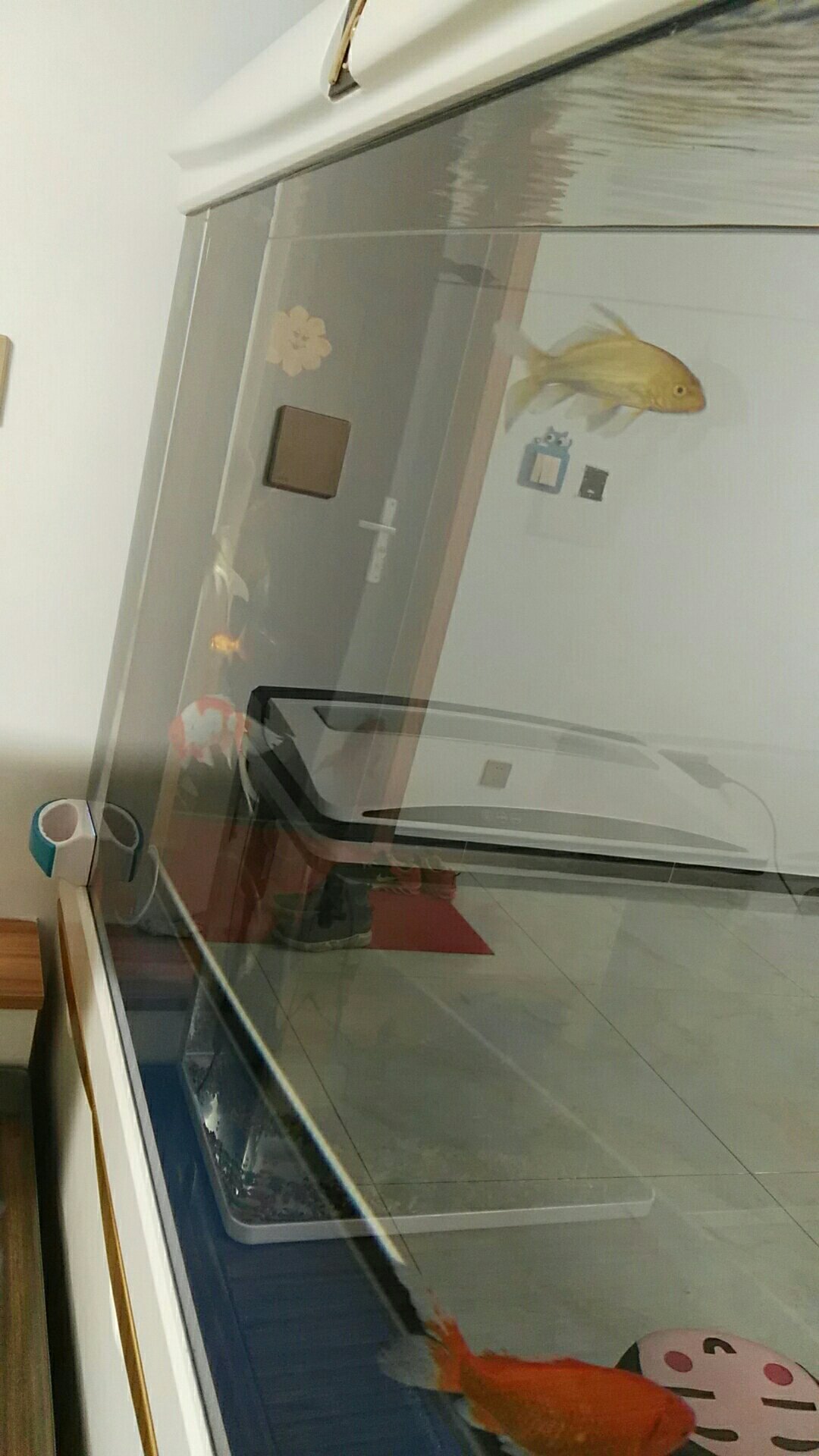 昨晚下单,今天下午就收到了,物流给力,擦的很干净,大小很合适,赞一个!!!