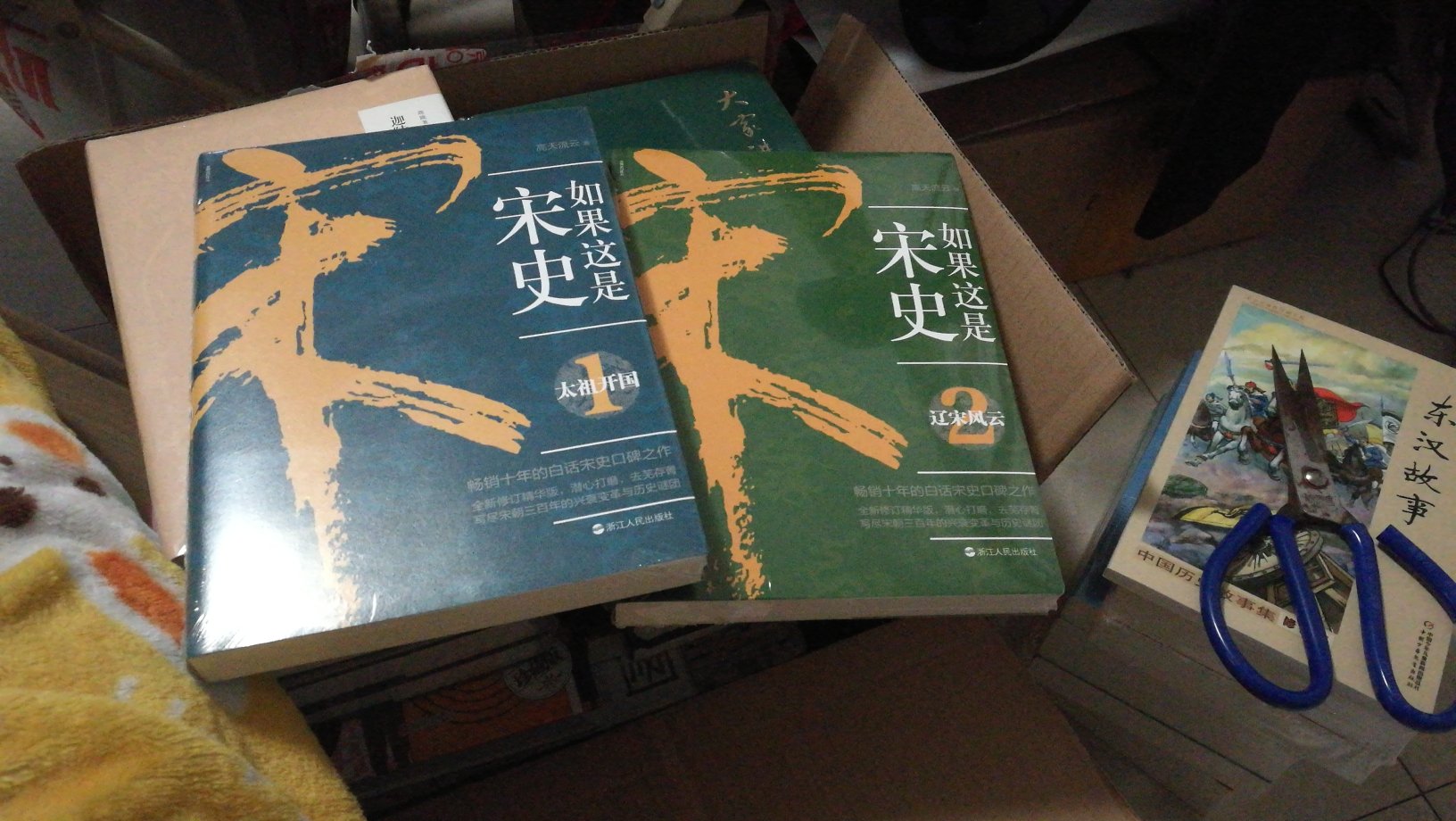 家里的各个朝代历史书基本都是一套偏学术的,一套偏白话通俗的,网上评价这个版本还可以,不知还有没有后续抗金的,书纸张稍粗,印刷还好,有塑封,寄过来完好。