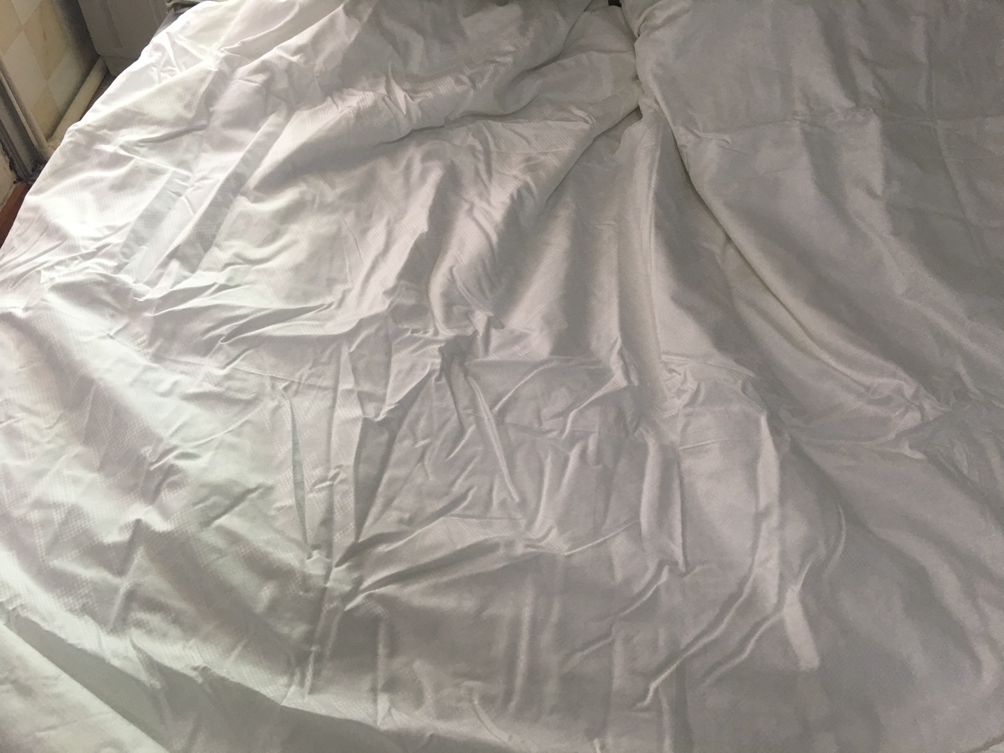 昨晚10:00下单,今天早上就收货了,估计考虑到我的急需?!面料确实很柔软,有60S全棉的感觉,都说有股异味,可接受,多晒晒,会不会后续效果改善些,今天拿出去晒了!打开检查口,是长蚕丝。先体验体验吧。
