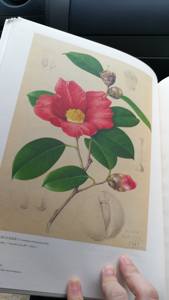 书很好 图文并茂 是植物控的 最爱 也是今年 难得的 植物绘画的 总结 那叶叶的 印刷质量 装钉质量都很好 就是不知道为什么 封皮有点卷。堪称 值得收藏的书 。个的书确实快