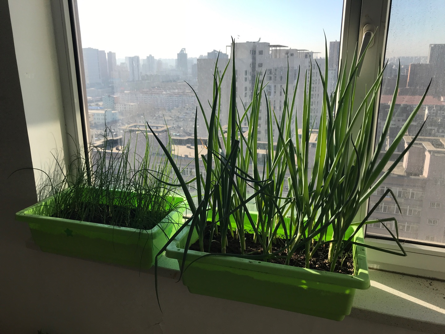 宝贝已经收到,一会就给我家植物用上,很满意的一次购物!