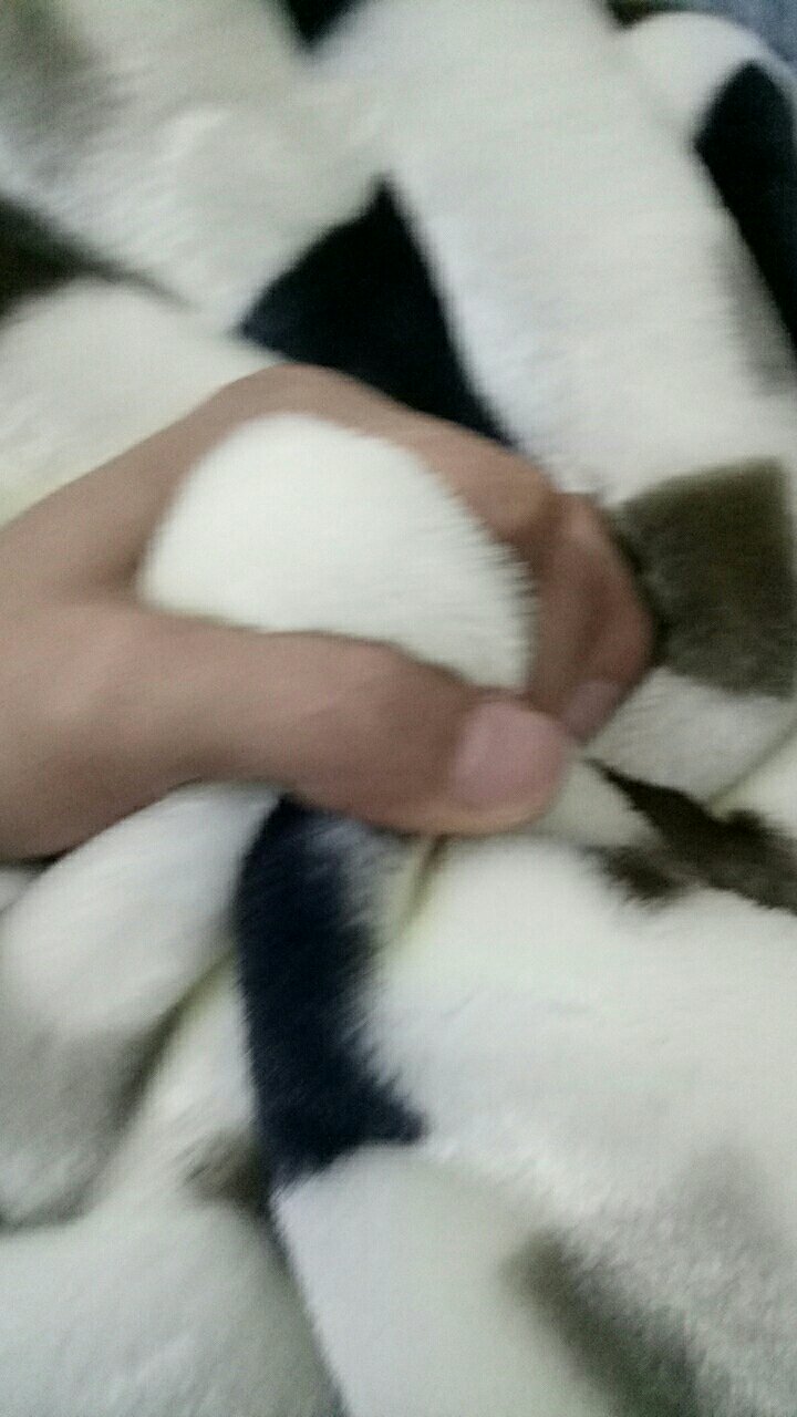 这个被子好柔软,摸起来好舒服啊,晚上睡觉盖着应该会出汗,哈哈哈,就是拆开包装有点味道,晾一会就没事了,挺不错的,非常喜欢,特别是现在天气冷了,当天买当天到,6666