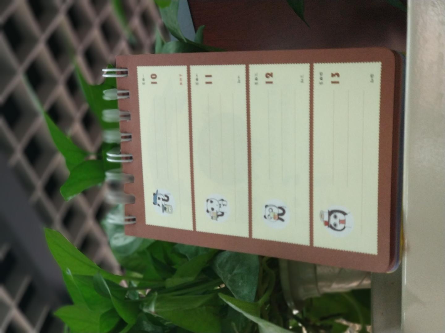 我想说是一个不甘心只做台历的笔记本哦!超级有创意,黄色的主题色,小熊猫的系列漫画,配上美食,绝对爽翻了。喜欢,明年如果还有一定会购2019年的。